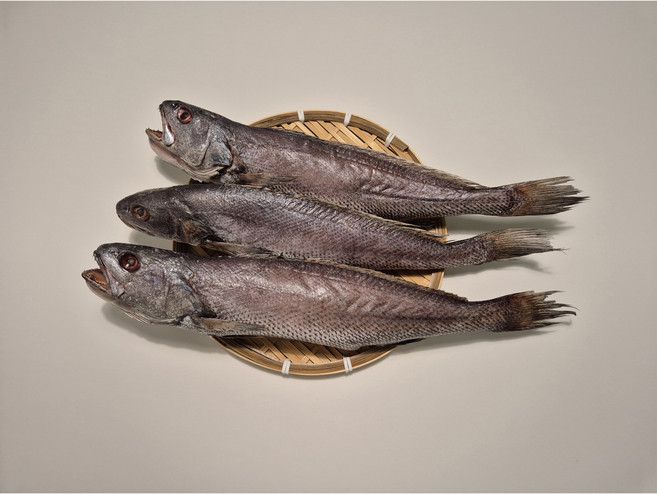 부산 대명수산 반건조 생선 간편 먹기편한 밥반찬 제수용생선 보양식 국산 천일염을 사용하여 간이된 맛있는 국산 참민어, 1세트, 45cm 3마리