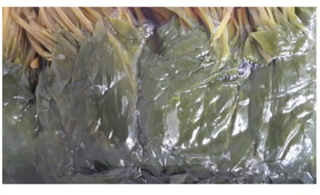 [P00000BK] 울릉도 명이나물절임 햇명이(15kg), 15kg, 1개