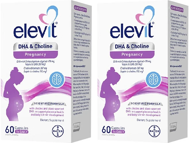 엘레비트 DHA & 콜린 프레그넌시 캡슐, 2개, 60정 - 쿠팡