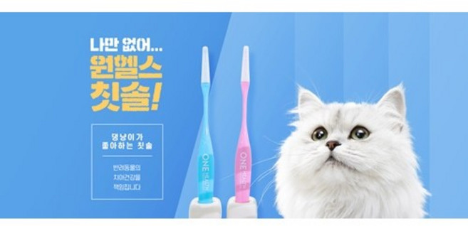 원헬스 고양이전용 초소형 칫솔 치약 입냄새 치주염 치아관리, 반려동물 칫솔(극소형), 1개