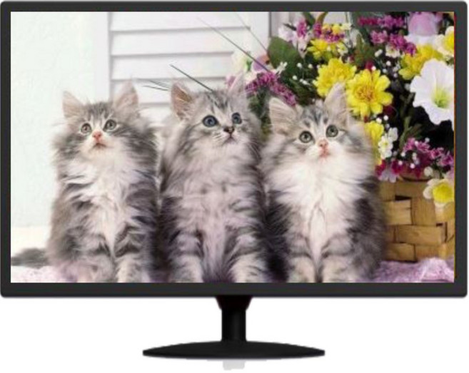 자비오씨엔씨 엑사비오 X2400EWT 광시야각 LED TV 24인치모니터, 61cm
