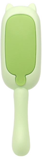 털쟁이 연구소 도리도리 털싹 롤러 반영구 돌돌이 롤클리너 그린 (2개세트), 2개