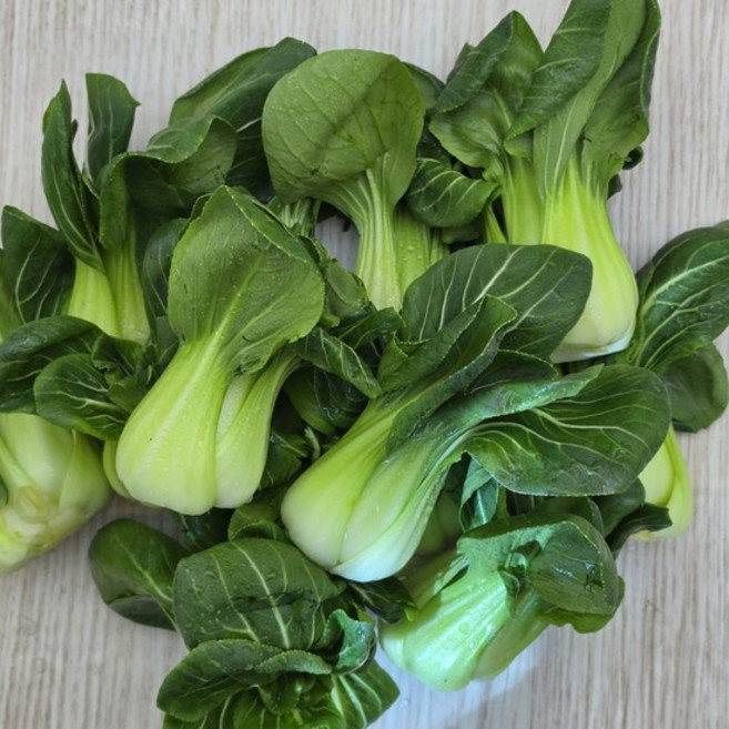 청경채 2kg 특, 없음, 상세설명 참조, 없음