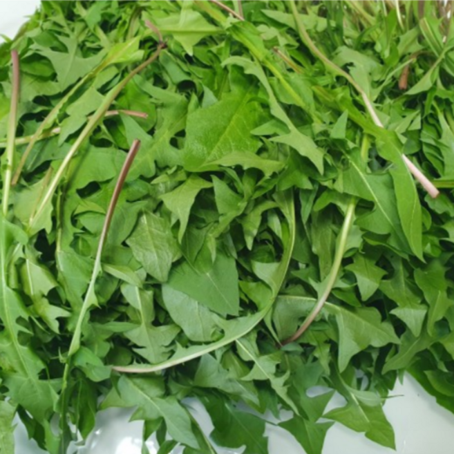 생민들레잎 민들레나물 500g 1kg [원산지:국산], 1개