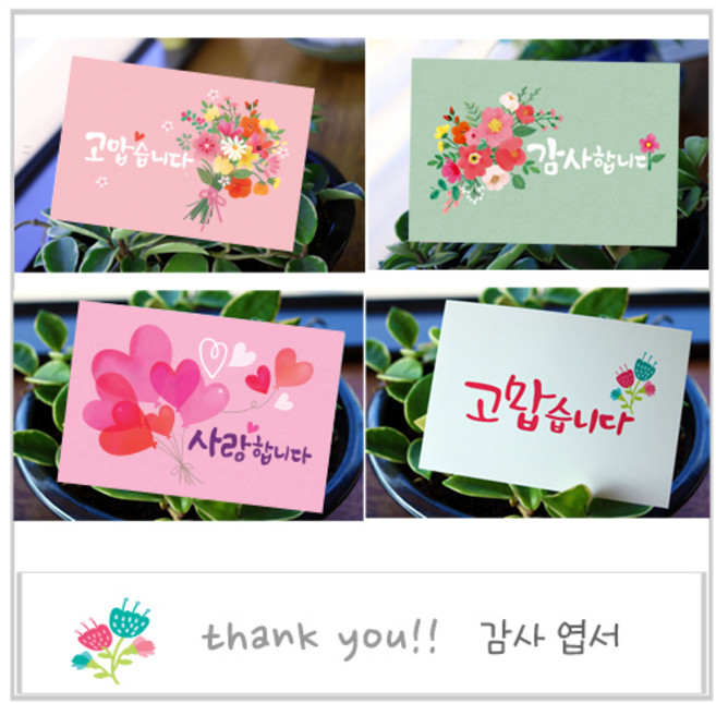 고운카드 감사엽서 캘리그라피 일러스트 엽서 모음, 사랑합니다 50장 봉투포함