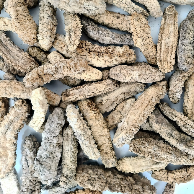 건해삼 루비해삼 마른 말린 중식 해삼 고급해삼 XL사이즈, 200g, 1개