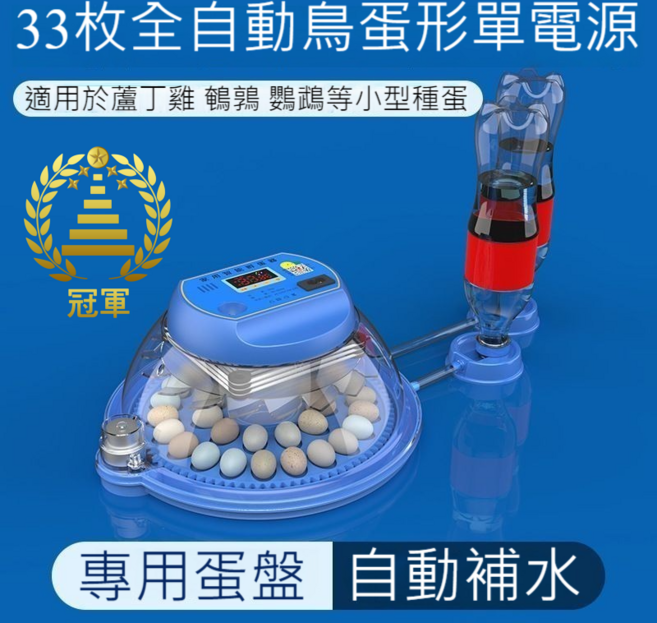全自動 蘆丁雞孵化器 110v 台灣電壓 飼養箱 飛碟孵蛋器, 1個, 孵蛋器33孔