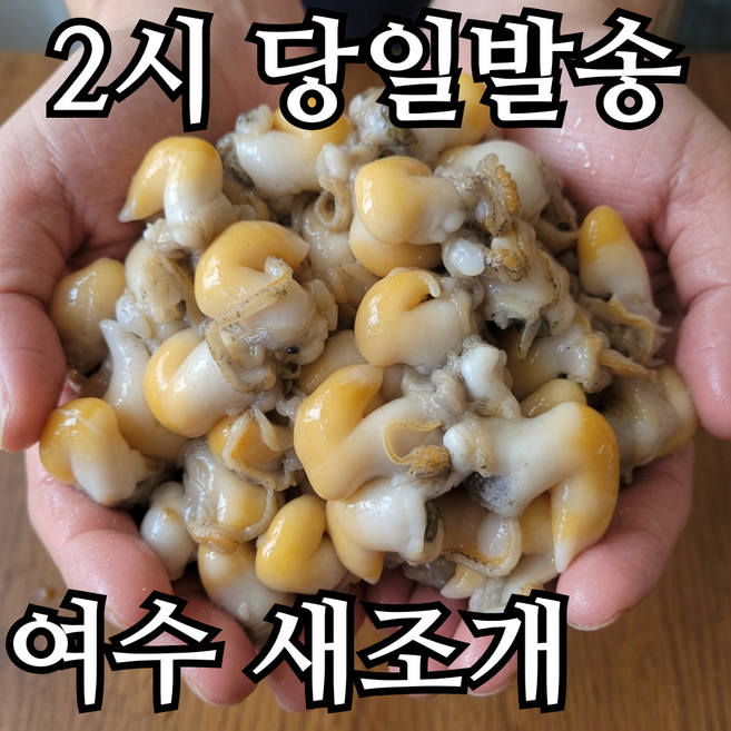산지직송 완전손질 생물 여수 새조개 순살 노랑 새조개 샤브샤브 횟감, 1개, 200g