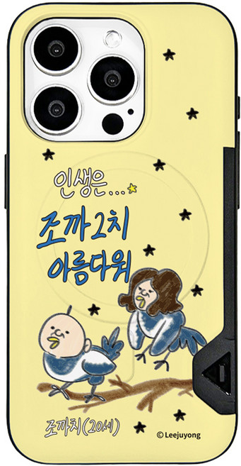 빵빵이의 일상 투게더 맥세이프 투카드 범퍼케이스 아이폰