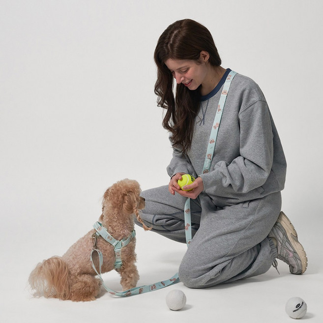 베일리펫 핸즈프리 강아지 리드줄 2.5M 길이조절 산책줄, 1개, 민트