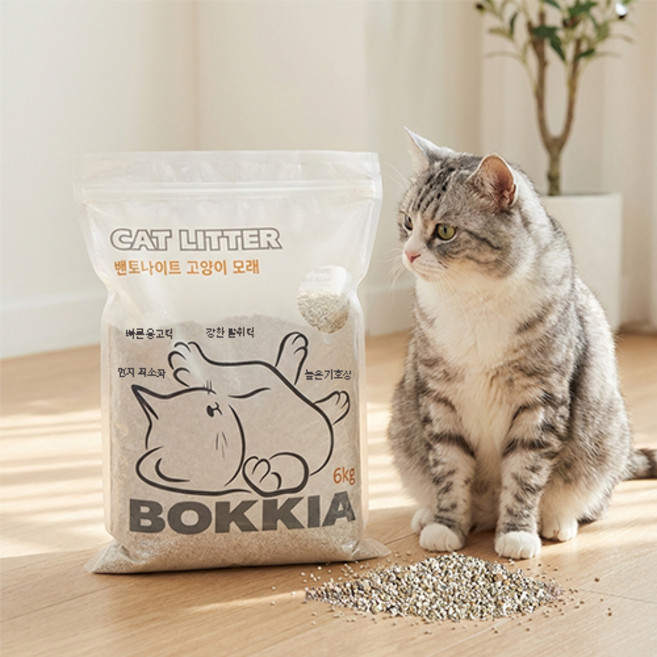 BOKKIA 고양이 벤토나이트 모래, 무향, 3개, 6kg