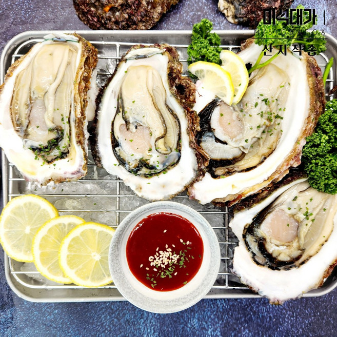 거제 자연산 바위굴 벚굴 하프셀, 1개, 바위굴(하프셀) 5kg(손질전)