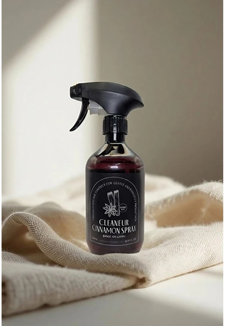 클리네르 계피 천연오일 스프레이 살균99.999% 집먼지진드기 좀벌레 항균 천연 오일 살균제, 1개, 500ml