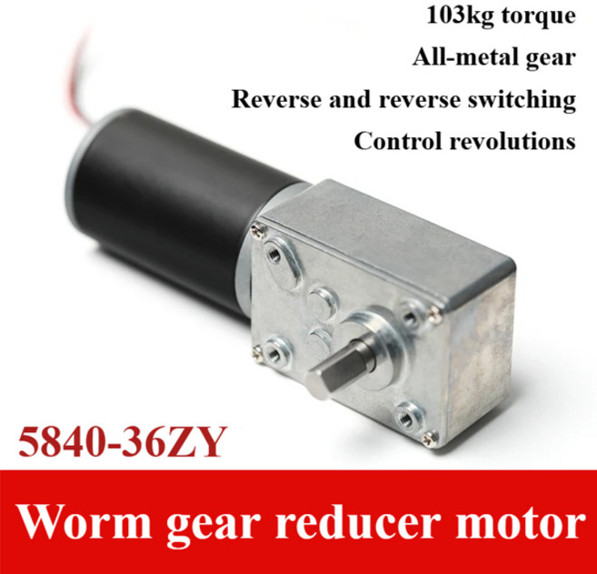 5840-36ZY DC 감속기 유성 모터 12V24V 터보 웜 기어 대형 토크 전원 차단 자동 잠금, [00] 41rpm, [02] PEEK plastic, [00] 24V용