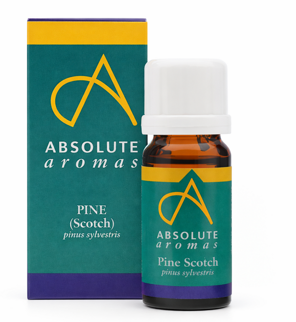 앱솔루트 에센셜오일 파인 스카치 10ml, 1개
