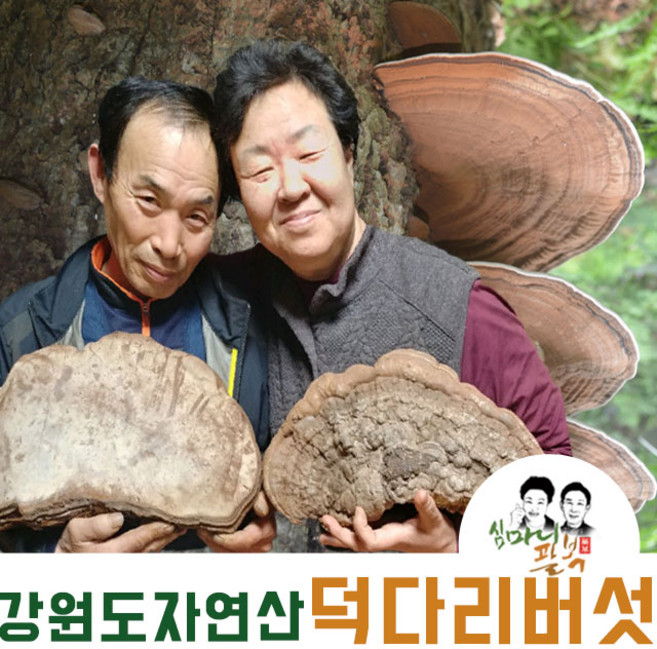 자연산 덕다리 버섯 잔나비 걸상 국산 강원도 1kg, 1개