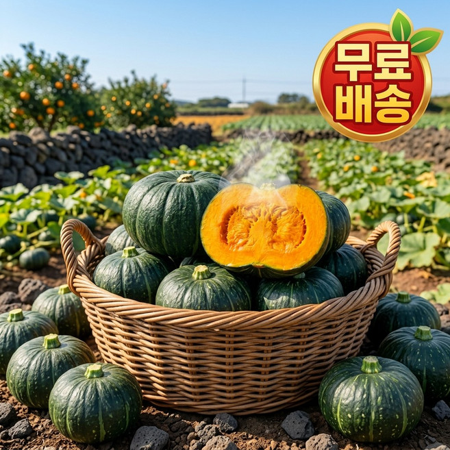 맛맛통통 햇수확 국내산 제주 해남 꿀범벅 미니 단호박 밤호박 밤단호박 보우짱 1kg 2kg 5kg 10kg 특품 소과, 1박스, 5kg(특품)