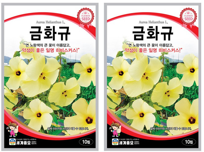 금화규 씨앗 10립 꽃씨앗 세계종묘 모칸도, 2개