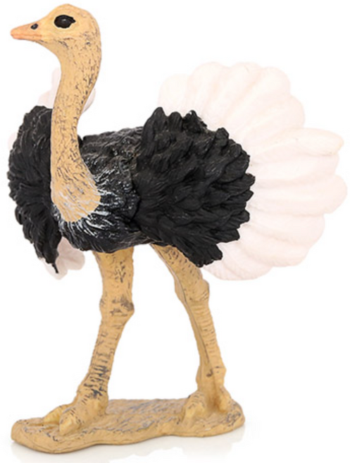 제트피규어 타조 조류 새 피규어 장난감 모형, 1개