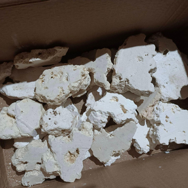 셀렉트하루 데드락 어항 장식 산호, 프리미엄 전체절단, 1개, 기본 색상