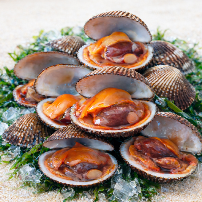 (당일조업) 남해안 신선직송 대왕 피꼬막, 1박스, 3kg