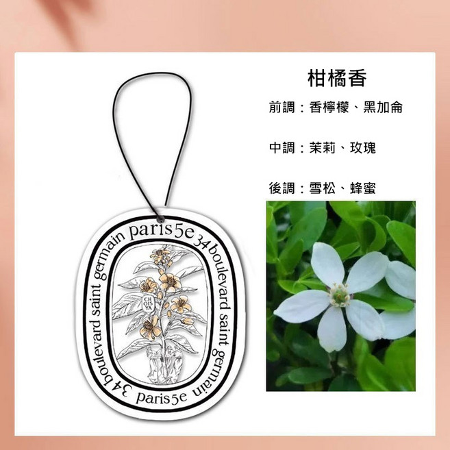 diptyque 掛式香氛片, 柑橘香, 1個