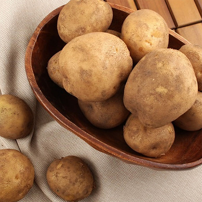 자연순수 국내산 유기농 강원도 정선 분감자 중 25년 햇감자, 1박스, 5kg