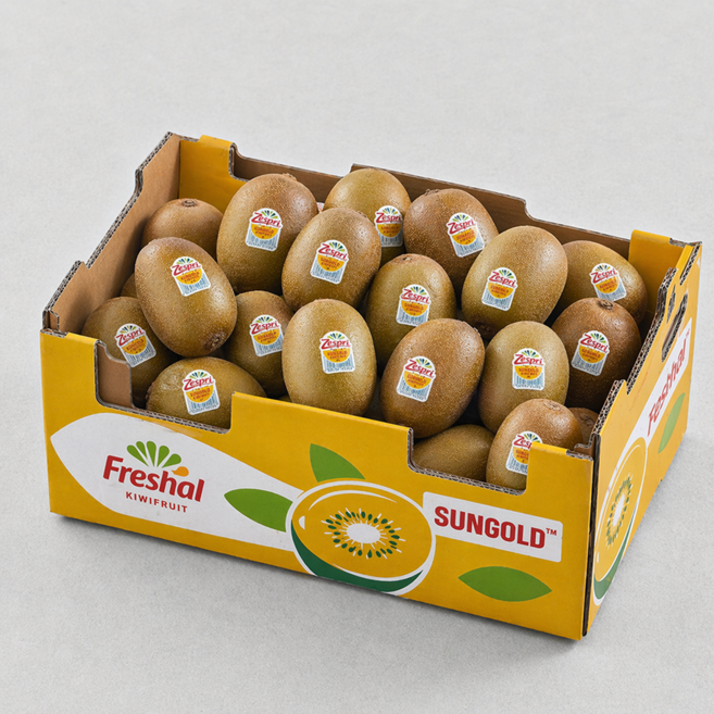 [단독특가] 프리미엄 초고당도 정품 제스프리 골드키위, 1박스, 10과(대과)