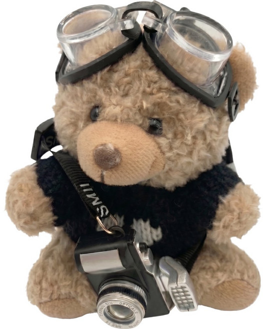 레주브 귀여운 뽀글이 곰돌이 고글 카메라 가방 인형 키링