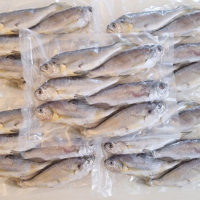 법성포 밥도둑 영광굴비 진공 소포장, 1세트, 67g내외X32마리(4팩)