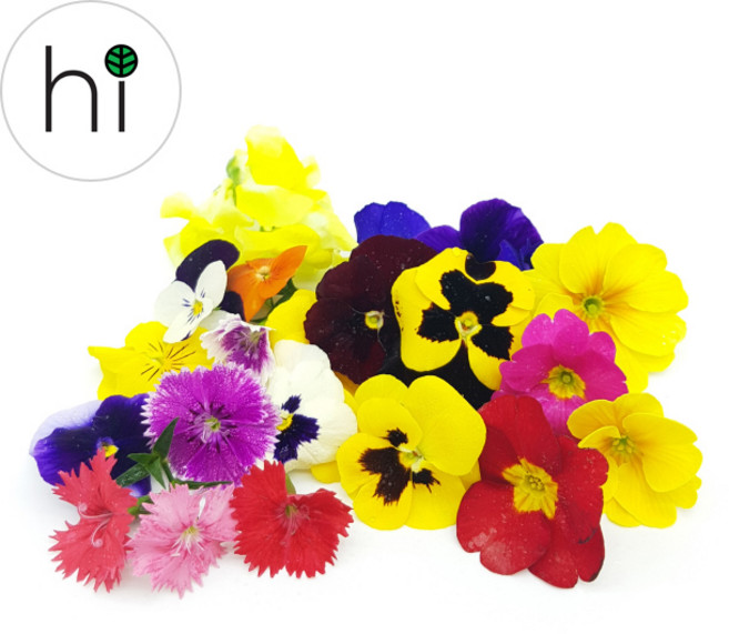 [허브아이] 식용꽃 30송이, 1세트