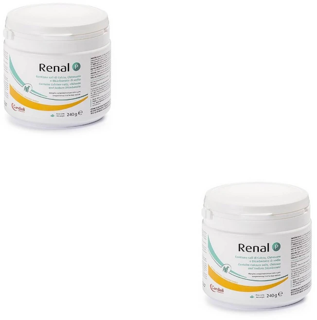 레날 P 반려견/반려묘 신장보조 영양제 240g 2개세트, 2개 - 쿠팡