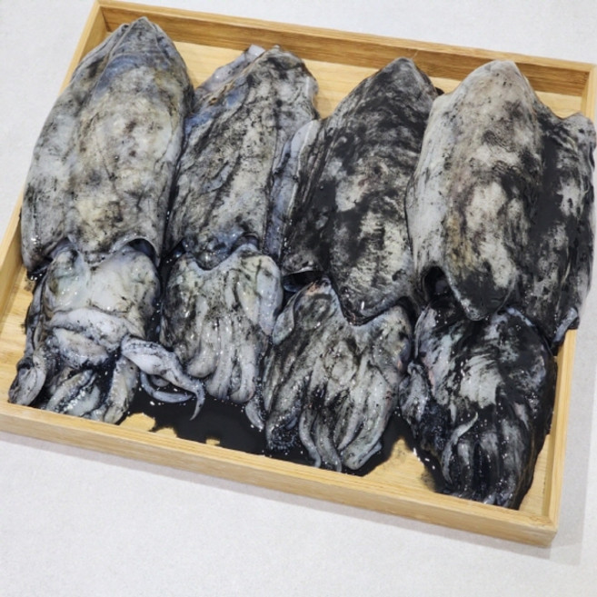 초특대 갑오징어 경매가 초대박, 1세트, 1kg