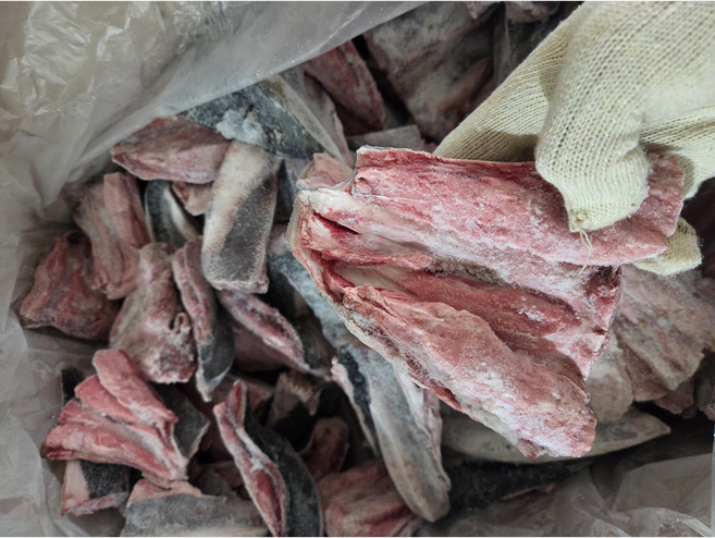눈다랑어 꼬리 1kg 구이용 냉동참치회 집에서먹는 참치회, 1개