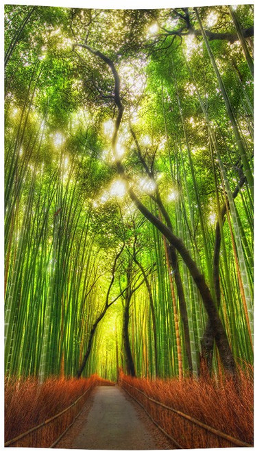 라버턴 다용도 가림막 패브릭 포스터 특대형 현관 거실 벽 장식 풍경 가리개 커튼 7종, H07 아침햇살