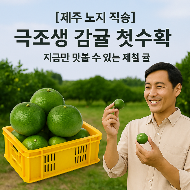 팜온네이처 제주 감귤 제철과일 밀감 극조생 그린향 감귤 2kg 3kg 4.5kg 랜덤(2S-M) 소과(2S), 1박스, 4.5kg 소과 (2S)