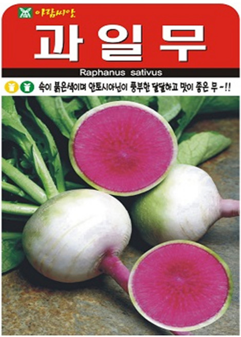 과일무 (수박무) 씨앗 동치미 무 무우 글루코시무, 3개
