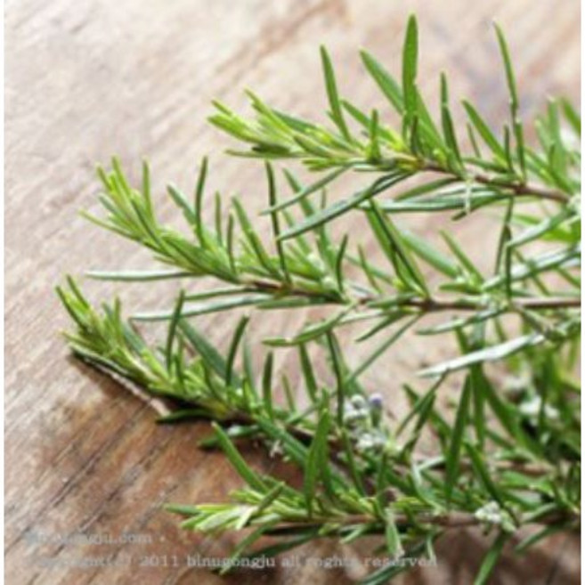 로즈마리 워터 (Rosemaryinfused Water), 100ml, 1개