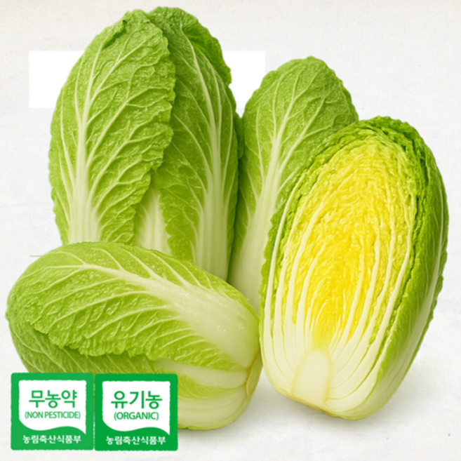 쌈배추 알배추 무농약 알배기배추 친환경 속배추, 쌈배추 1봉, 500g, 1개
