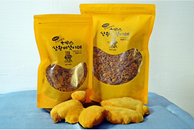 [면역력엔] 칠갑산 장수 상황버섯 분쇄 [실속형] 90g 230g 국내산100%, 1개, 1개입