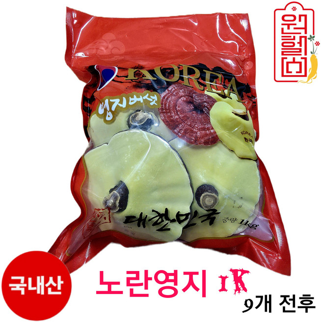 국내산 영지버섯 1K- [9개 전후] 한국 국산 100% korean mushroom 당일발송, 1개, 1kg