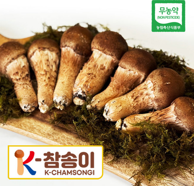 참송이버섯 [K-참송이] 친환경 국산 무농약 특 A B 가정용 등급 300g, 1개, 가정용 300g
