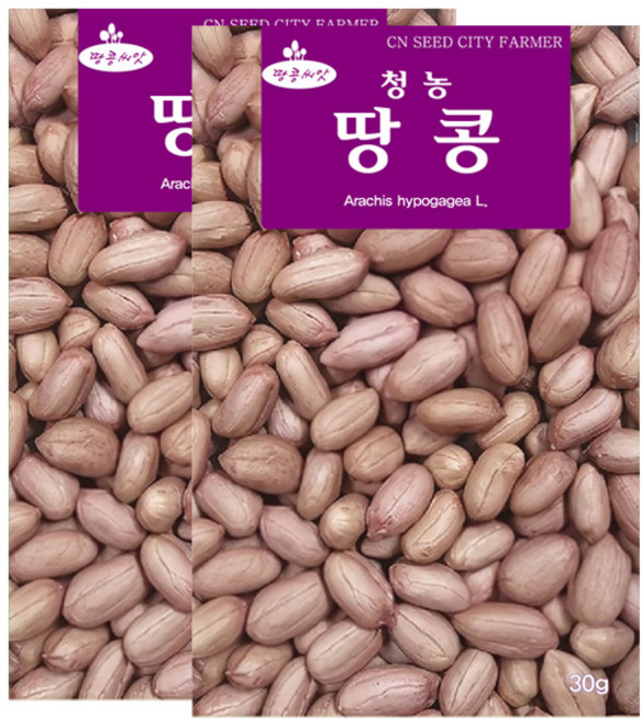 세인화분 땅콩씨앗 30g 땅콩 씨앗 땅콩씨 파종 종자, 2개