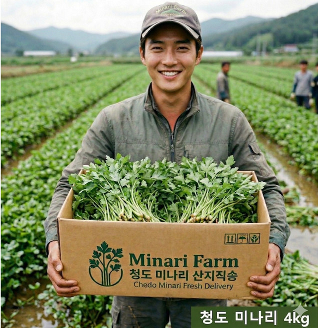 [미나리 마을] 산지 직송 국내산 청도미나리, 1박스, 2kg