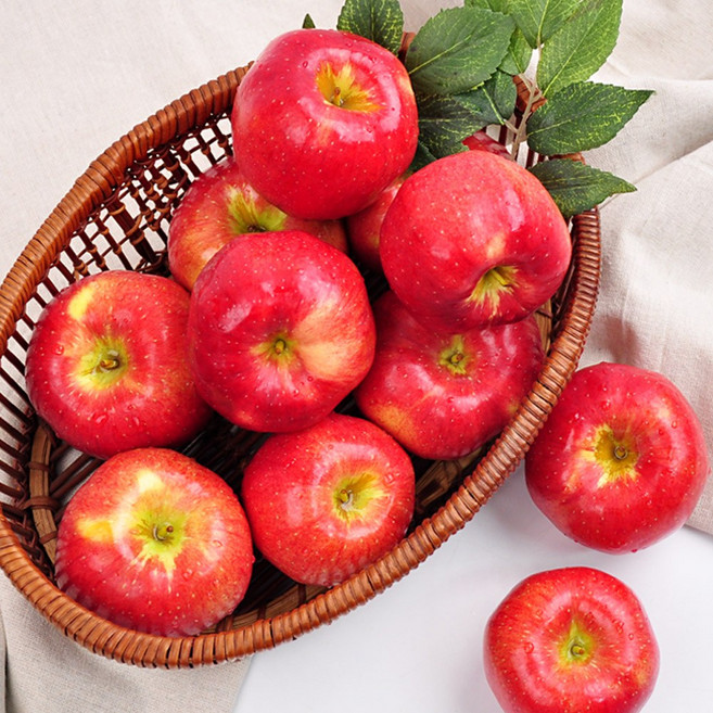 꿀당도 가정용 사과 5kg, 1개, 5kg(18내외) / 대과