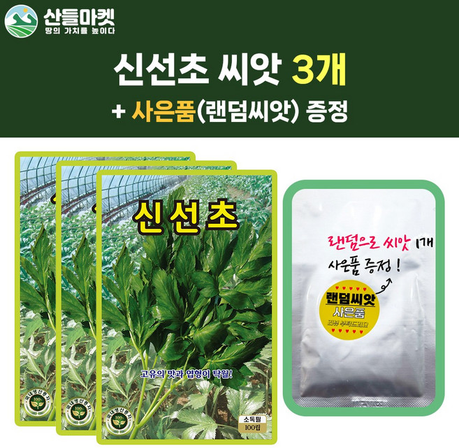 산들마켓 신선초 씨앗 100립 고유의 맛과 엽형이 탁월한 재래종 국내산 품종 3개+랜덤 씨앗 1개 증정, 1세트