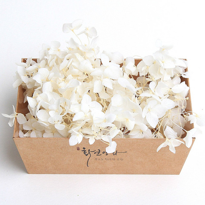 화연양화 프리저브드플라워 블루밍 케이스 수국 30색, 01 화이트