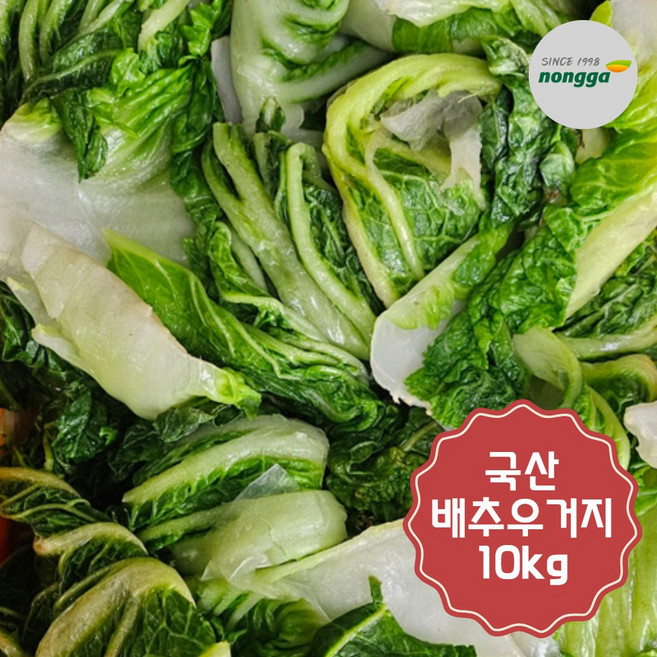 우선 최상급 국산 염지우거지 냉동, 1개, 10kg