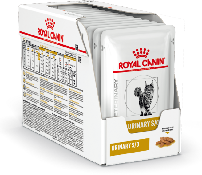 로얄캐닌 캣 유리너리 파우치 85g+12 처방식 하부요로 CAT URINARY SO, 85g, 12개, 닭