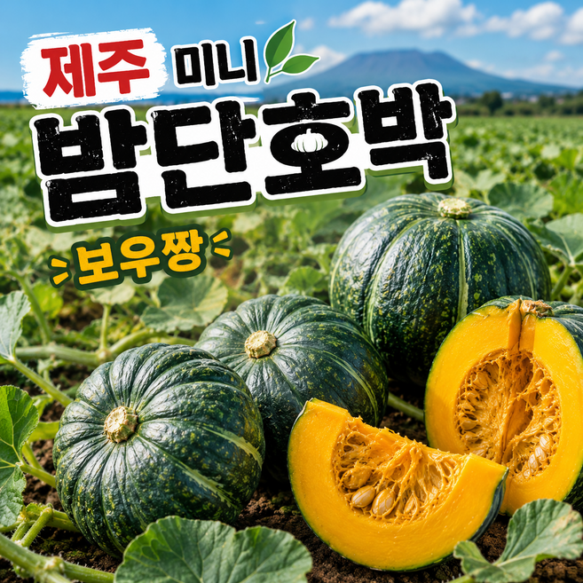 [26년 햇수확] 제주 미니밤호박 보우짱 로얄과 특품 산지직송, 1개, 10kg ( 12~36수)